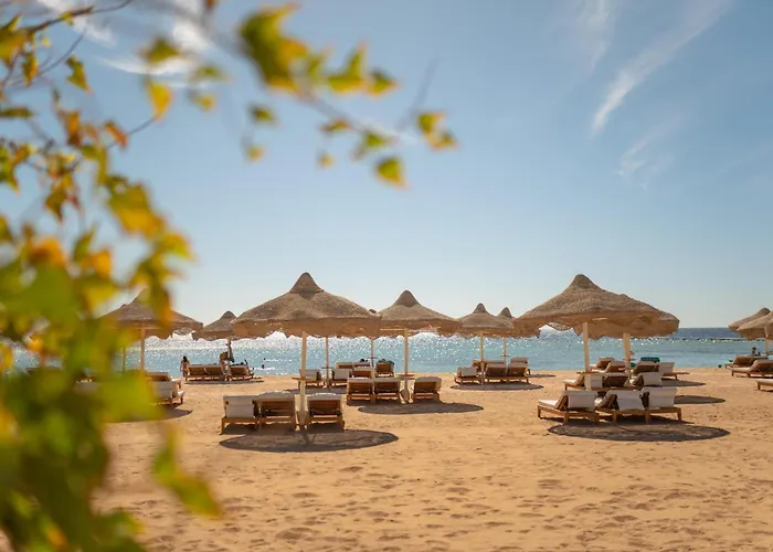 Baron Sheikh (adults Only) 5* Sharm el Sheikh