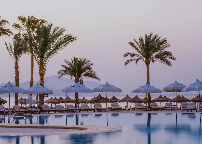 Baron Sheikh (adults Only) Sharm el Sheikh