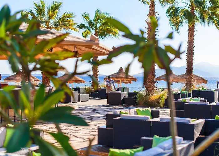 Baron Sheikh (adults Only) Sharm el Sheikh