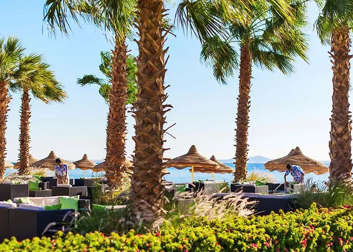 Baron Sheikh (adults Only) Resort Sharm el Sheikh