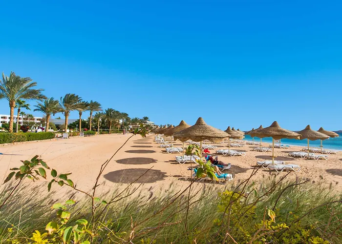 Baron Sheikh (adults Only) Resort 5*