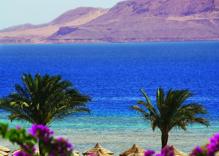 Baron Sheikh (adults Only) Resort